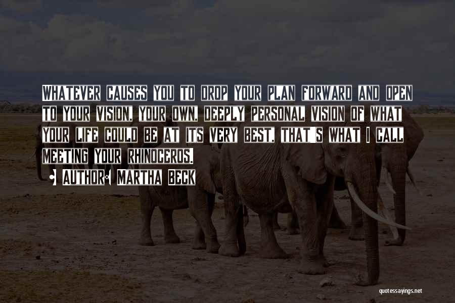 Martha Beck Quotes: Whatever Causes You To Drop Your Plan Forward And Open To Your Vision, Your Own, Deeply Personal Vision Of What