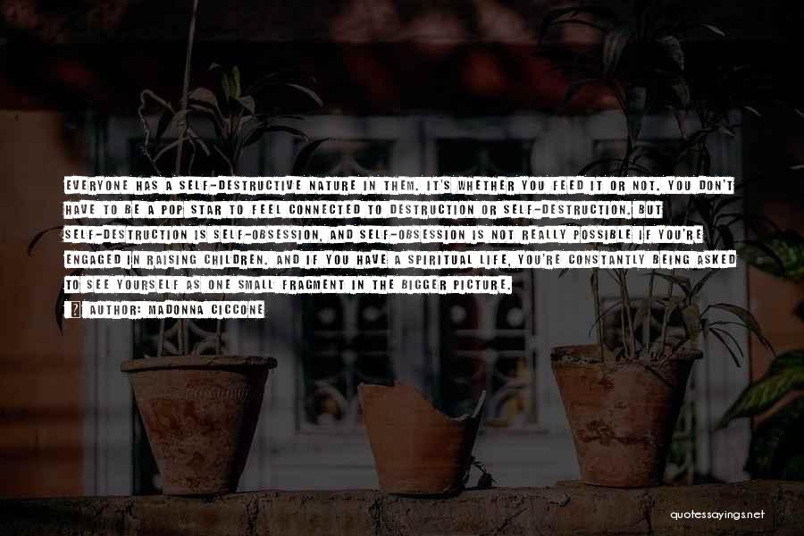 Madonna Ciccone Quotes: Everyone Has A Self-destructive Nature In Them. It's Whether You Feed It Or Not. You Don't Have To Be A