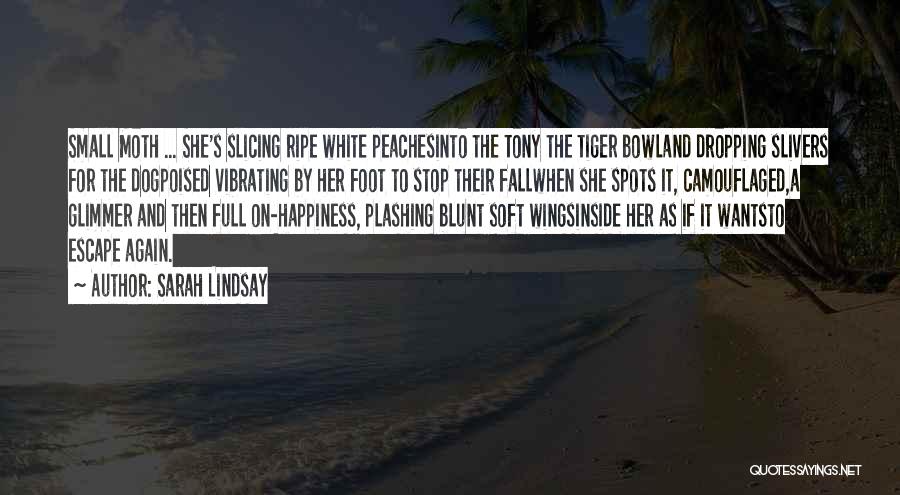 Sarah Lindsay Quotes: Small Moth ... She's Slicing Ripe White Peachesinto The Tony The Tiger Bowland Dropping Slivers For The Dogpoised Vibrating By