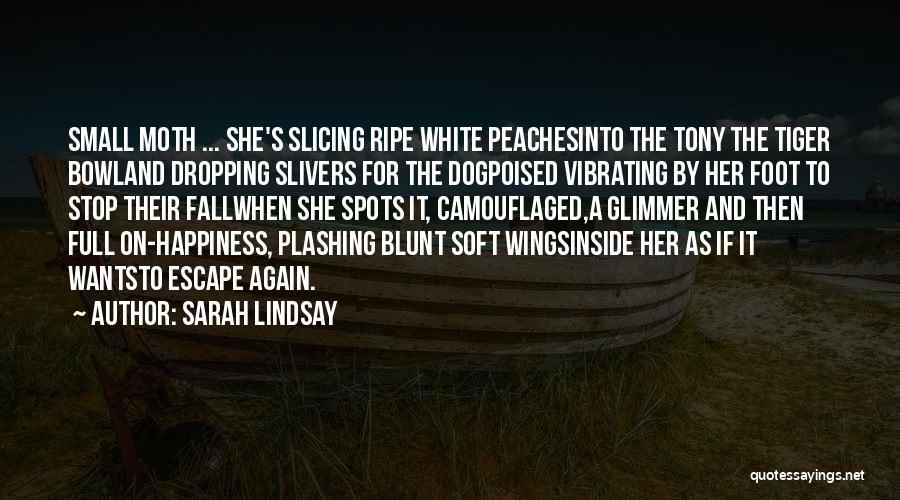 Sarah Lindsay Quotes: Small Moth ... She's Slicing Ripe White Peachesinto The Tony The Tiger Bowland Dropping Slivers For The Dogpoised Vibrating By