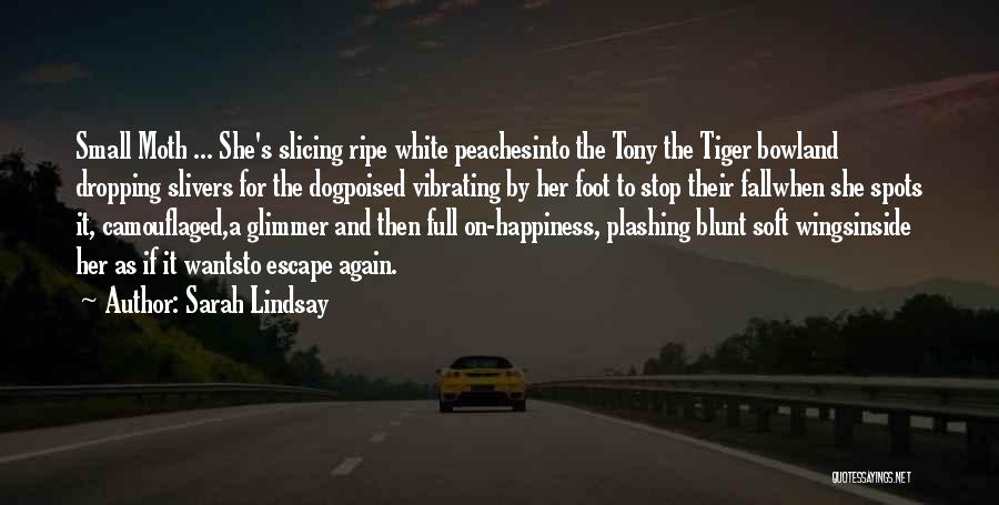 Sarah Lindsay Quotes: Small Moth ... She's Slicing Ripe White Peachesinto The Tony The Tiger Bowland Dropping Slivers For The Dogpoised Vibrating By