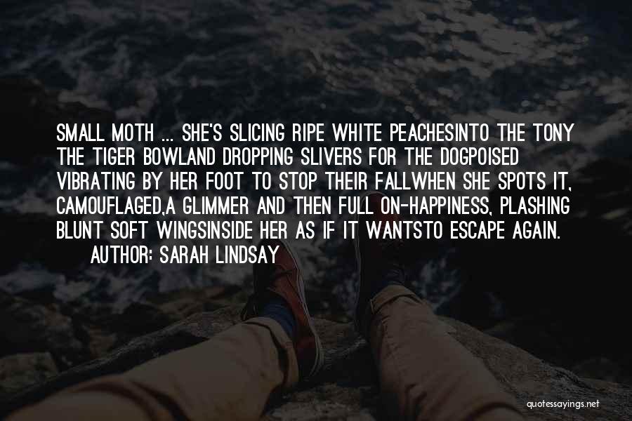 Sarah Lindsay Quotes: Small Moth ... She's Slicing Ripe White Peachesinto The Tony The Tiger Bowland Dropping Slivers For The Dogpoised Vibrating By