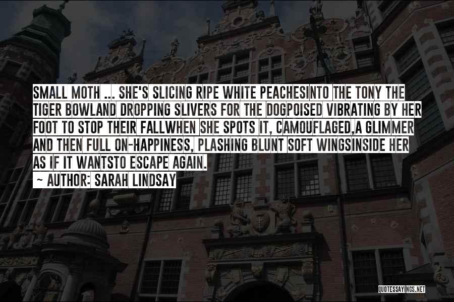 Sarah Lindsay Quotes: Small Moth ... She's Slicing Ripe White Peachesinto The Tony The Tiger Bowland Dropping Slivers For The Dogpoised Vibrating By