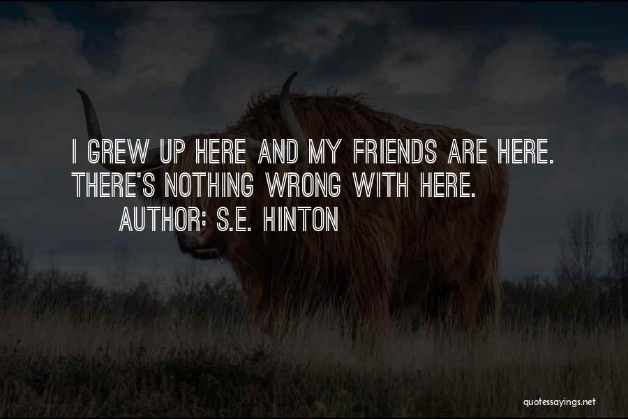 S.E. Hinton Quotes: I Grew Up Here And My Friends Are Here. There's Nothing Wrong With Here.