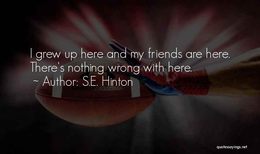 S.E. Hinton Quotes: I Grew Up Here And My Friends Are Here. There's Nothing Wrong With Here.