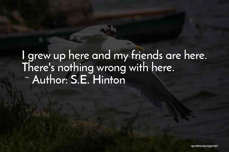 S.E. Hinton Quotes: I Grew Up Here And My Friends Are Here. There's Nothing Wrong With Here.