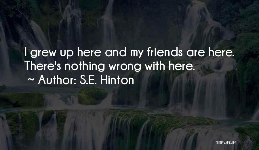 S.E. Hinton Quotes: I Grew Up Here And My Friends Are Here. There's Nothing Wrong With Here.