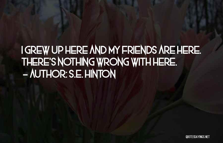 S.E. Hinton Quotes: I Grew Up Here And My Friends Are Here. There's Nothing Wrong With Here.