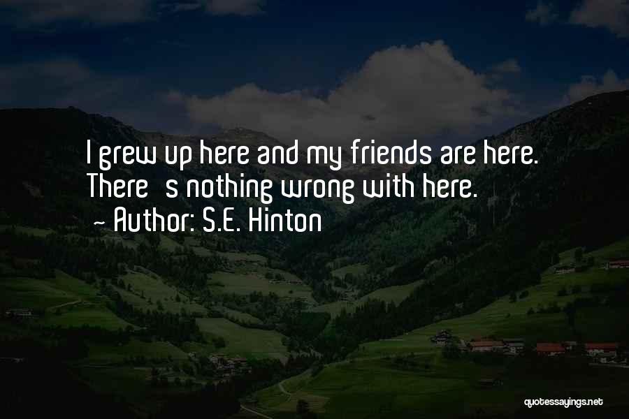 S.E. Hinton Quotes: I Grew Up Here And My Friends Are Here. There's Nothing Wrong With Here.