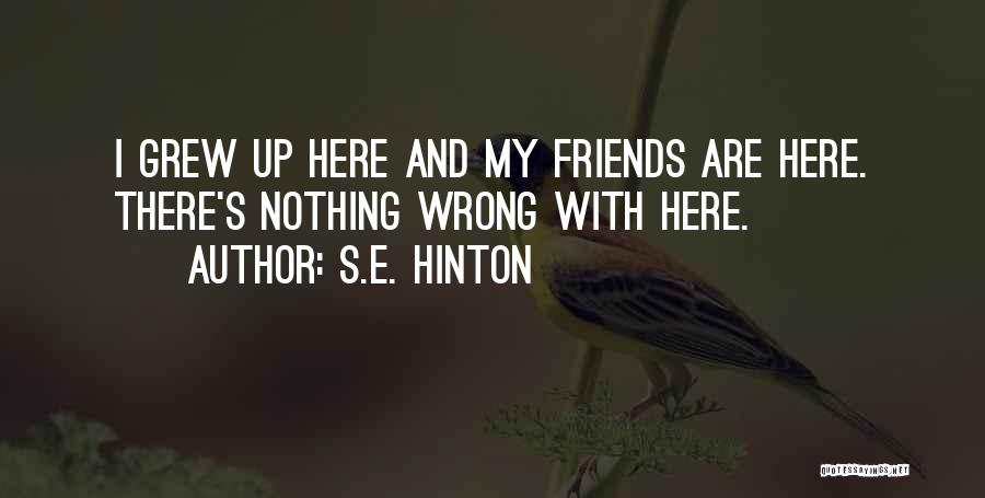 S.E. Hinton Quotes: I Grew Up Here And My Friends Are Here. There's Nothing Wrong With Here.