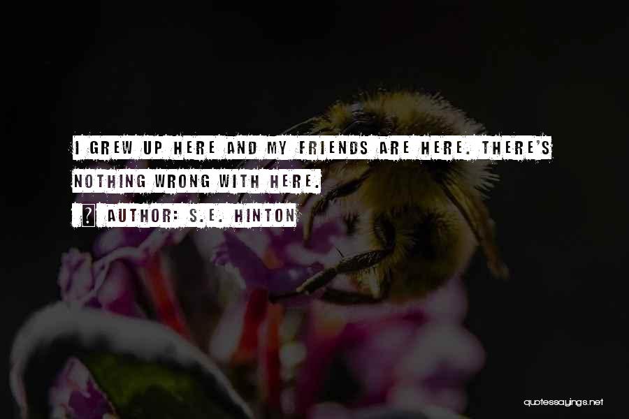 S.E. Hinton Quotes: I Grew Up Here And My Friends Are Here. There's Nothing Wrong With Here.