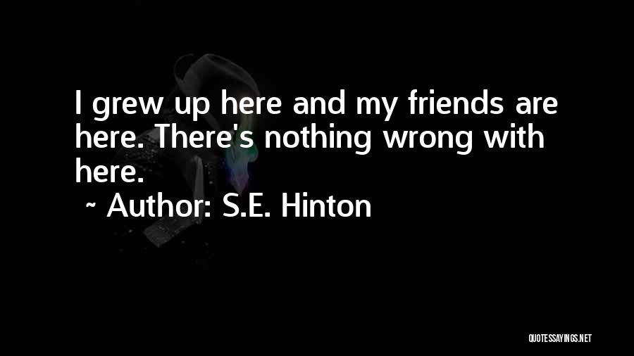 S.E. Hinton Quotes: I Grew Up Here And My Friends Are Here. There's Nothing Wrong With Here.