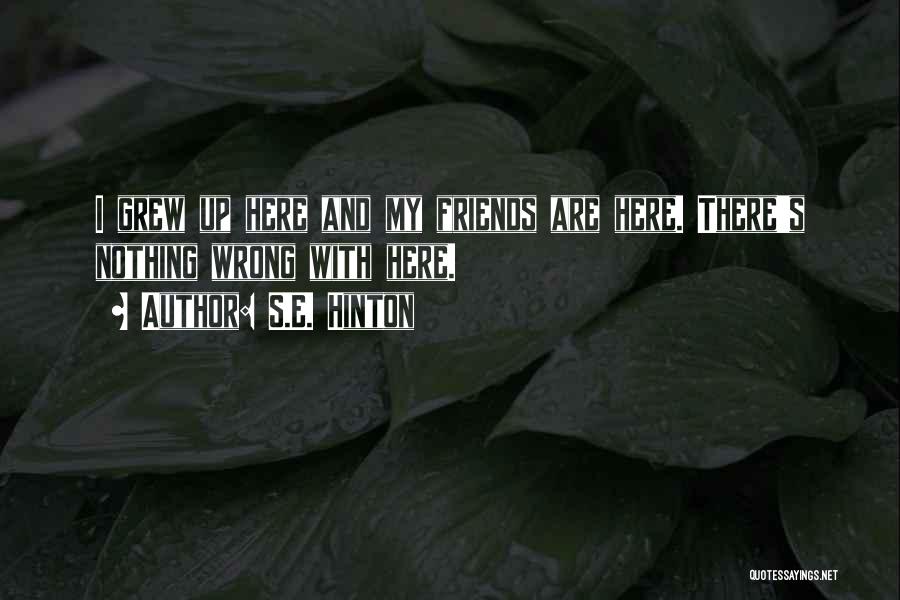 S.E. Hinton Quotes: I Grew Up Here And My Friends Are Here. There's Nothing Wrong With Here.