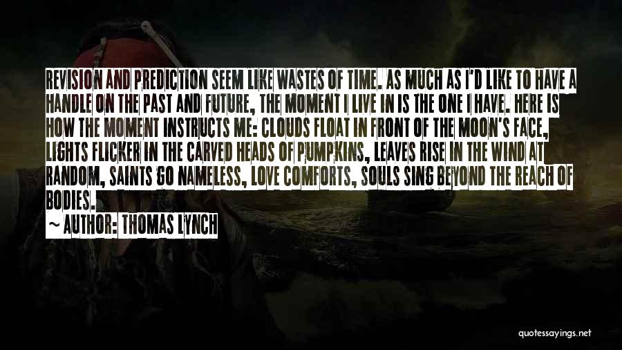 Thomas Lynch Quotes: Revision And Prediction Seem Like Wastes Of Time. As Much As I'd Like To Have A Handle On The Past