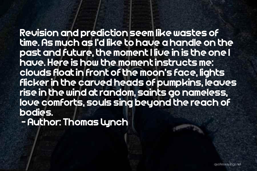 Thomas Lynch Quotes: Revision And Prediction Seem Like Wastes Of Time. As Much As I'd Like To Have A Handle On The Past