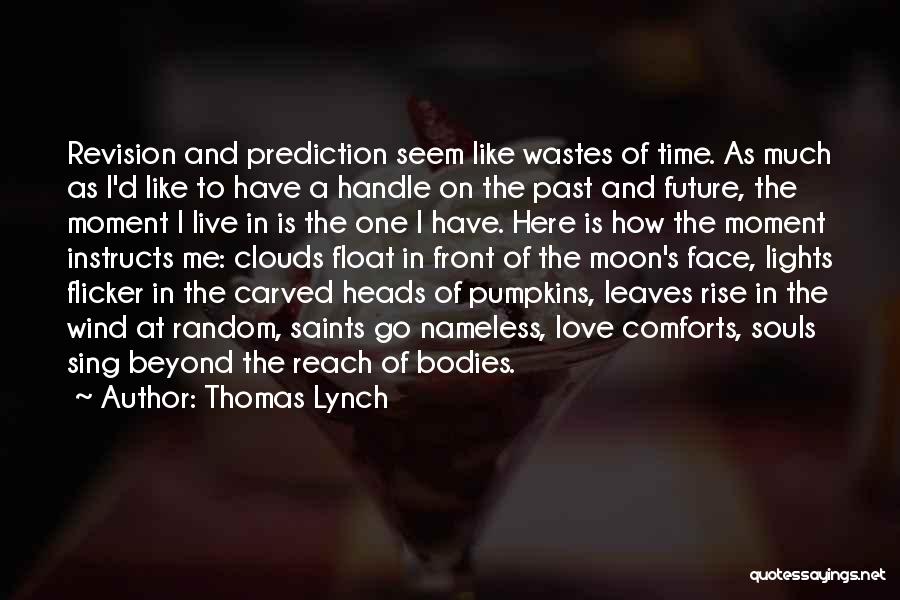 Thomas Lynch Quotes: Revision And Prediction Seem Like Wastes Of Time. As Much As I'd Like To Have A Handle On The Past