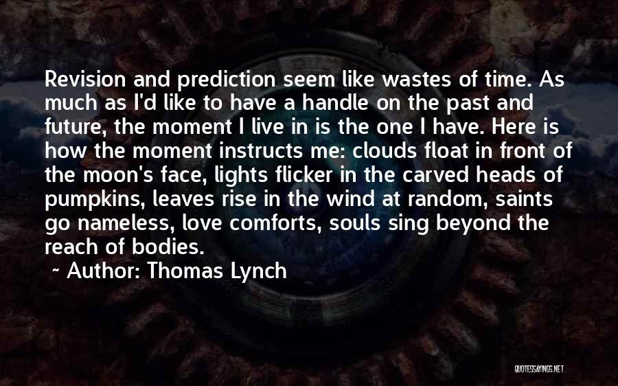 Thomas Lynch Quotes: Revision And Prediction Seem Like Wastes Of Time. As Much As I'd Like To Have A Handle On The Past