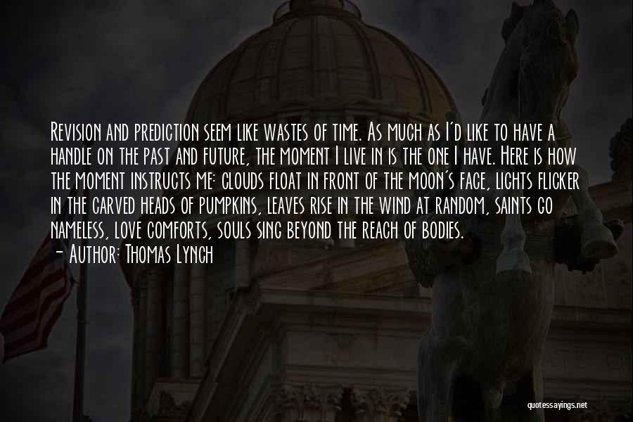 Thomas Lynch Quotes: Revision And Prediction Seem Like Wastes Of Time. As Much As I'd Like To Have A Handle On The Past