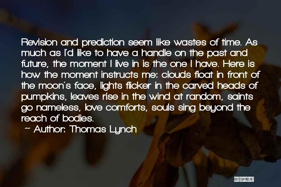 Thomas Lynch Quotes: Revision And Prediction Seem Like Wastes Of Time. As Much As I'd Like To Have A Handle On The Past