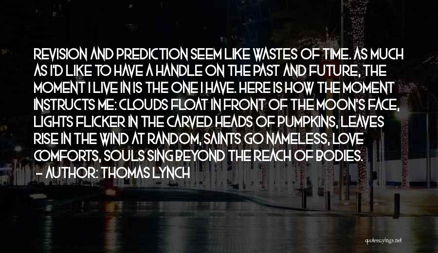 Thomas Lynch Quotes: Revision And Prediction Seem Like Wastes Of Time. As Much As I'd Like To Have A Handle On The Past