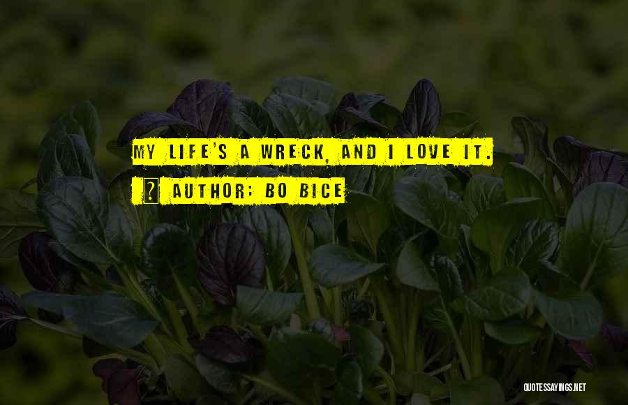 Bo Bice Quotes: My Life's A Wreck, And I Love It.
