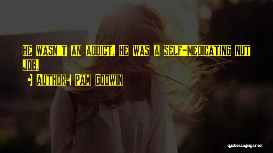Pam Godwin Quotes: He Wasn't An Addict. He Was A Self-medicating Nut Job.