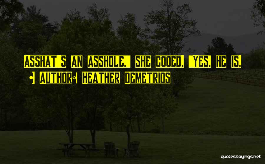 Heather Demetrios Quotes: Asshat's An Asshole, She Cooed. Yes, He Is.