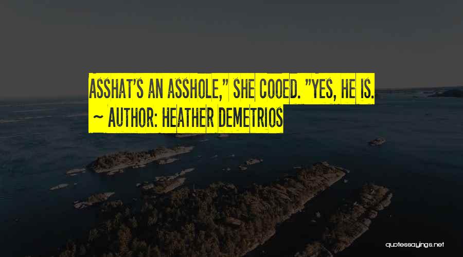 Heather Demetrios Quotes: Asshat's An Asshole, She Cooed. Yes, He Is.