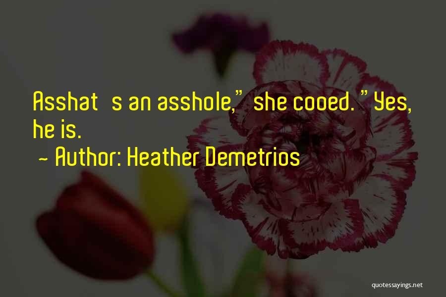 Heather Demetrios Quotes: Asshat's An Asshole, She Cooed. Yes, He Is.