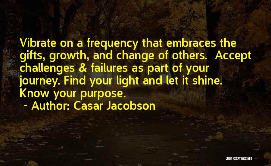 Casar Jacobson Quotes: Vibrate On A Frequency That Embraces The Gifts, Growth, And Change Of Others. Accept Challenges & Failures As Part Of