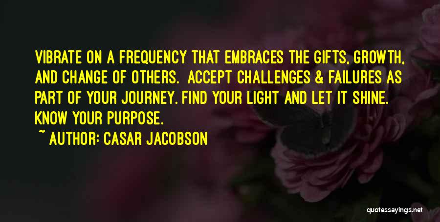Casar Jacobson Quotes: Vibrate On A Frequency That Embraces The Gifts, Growth, And Change Of Others. Accept Challenges & Failures As Part Of