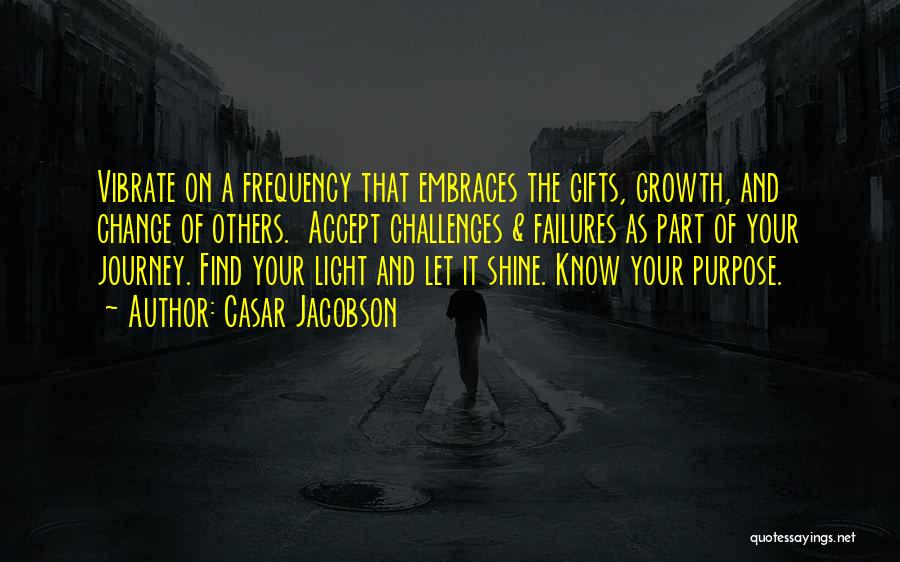 Casar Jacobson Quotes: Vibrate On A Frequency That Embraces The Gifts, Growth, And Change Of Others. Accept Challenges & Failures As Part Of