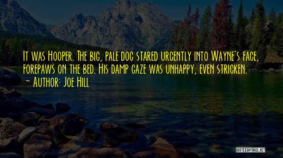 Joe Hill Quotes: It Was Hooper. The Big, Pale Dog Stared Urgently Into Wayne's Face, Forepaws On The Bed. His Damp Gaze Was