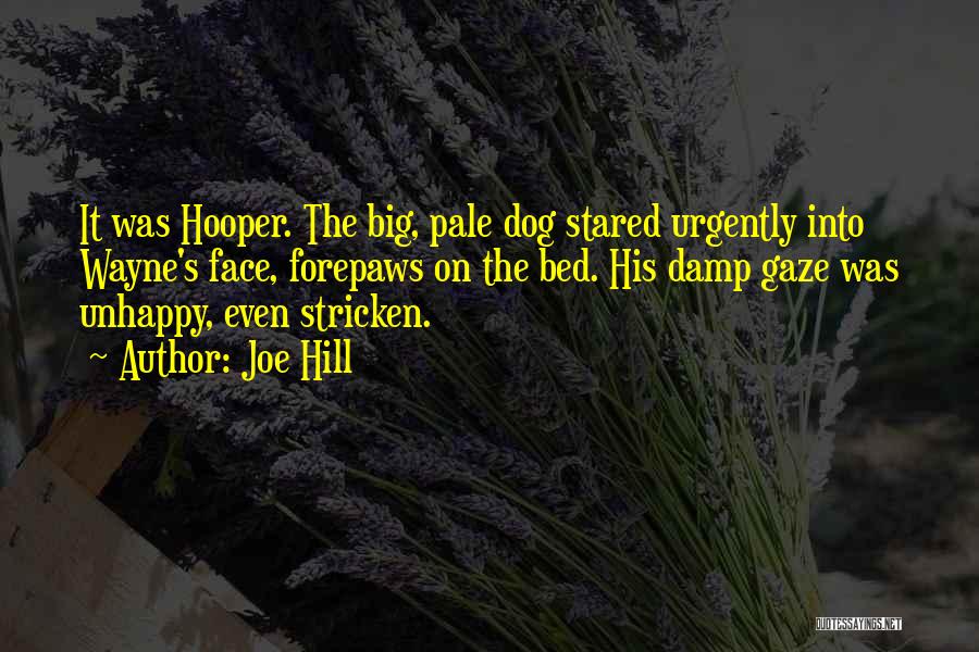 Joe Hill Quotes: It Was Hooper. The Big, Pale Dog Stared Urgently Into Wayne's Face, Forepaws On The Bed. His Damp Gaze Was