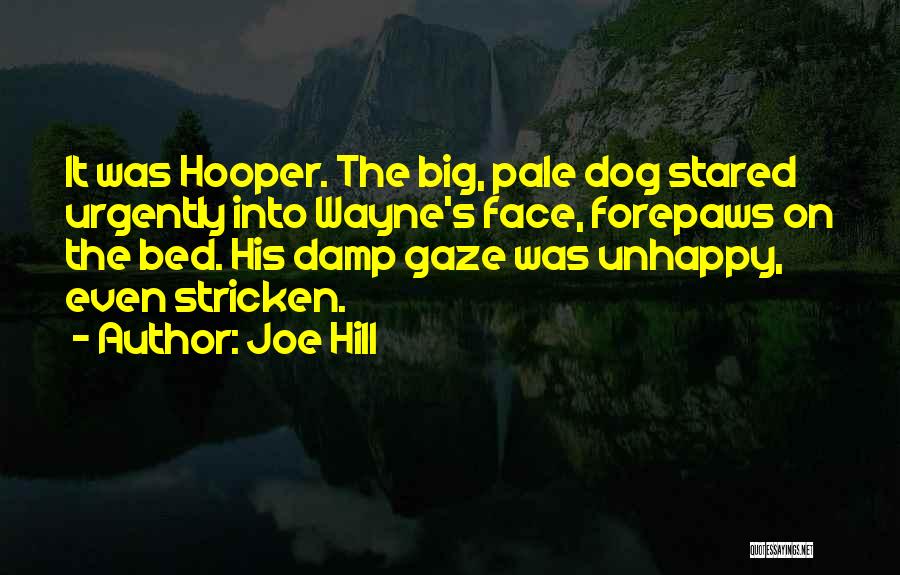Joe Hill Quotes: It Was Hooper. The Big, Pale Dog Stared Urgently Into Wayne's Face, Forepaws On The Bed. His Damp Gaze Was