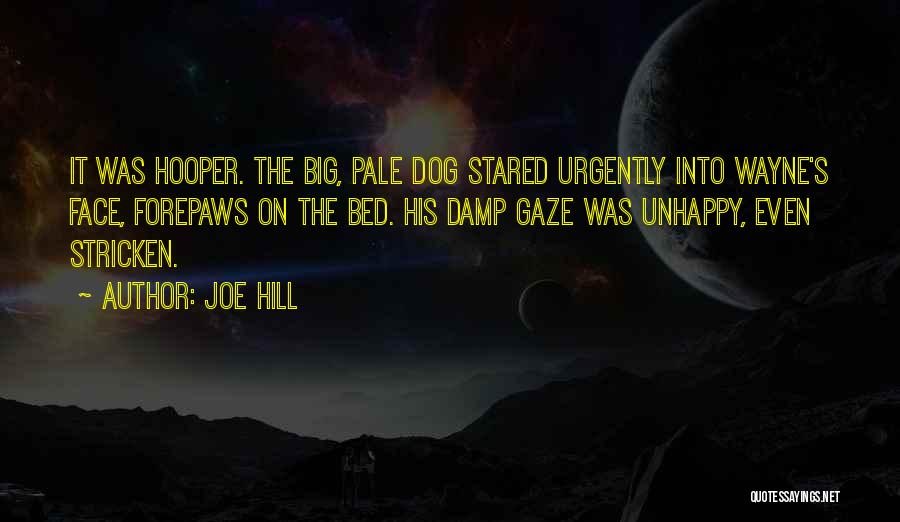 Joe Hill Quotes: It Was Hooper. The Big, Pale Dog Stared Urgently Into Wayne's Face, Forepaws On The Bed. His Damp Gaze Was