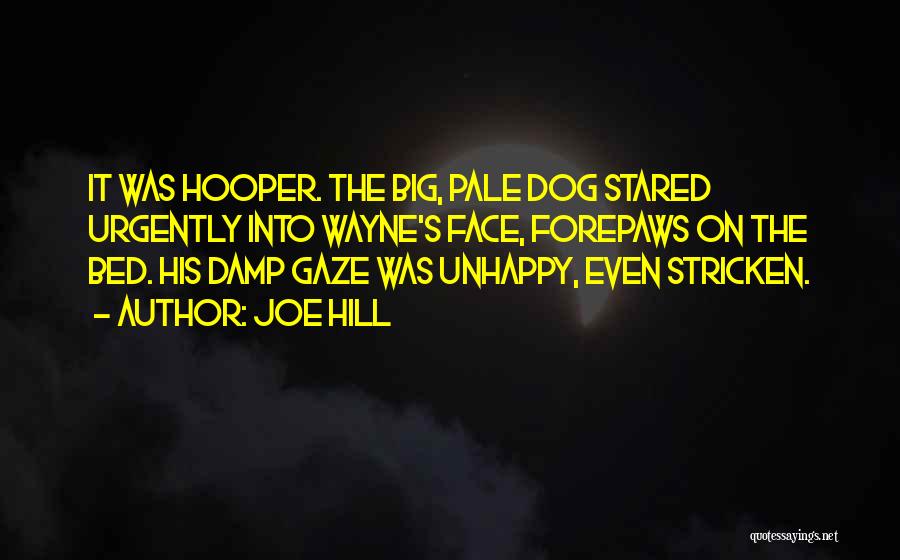 Joe Hill Quotes: It Was Hooper. The Big, Pale Dog Stared Urgently Into Wayne's Face, Forepaws On The Bed. His Damp Gaze Was