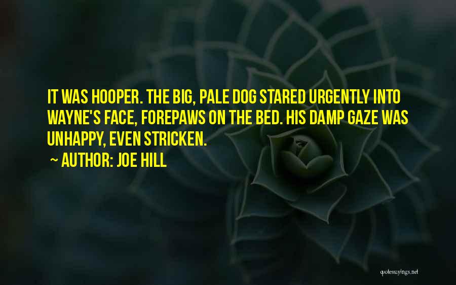 Joe Hill Quotes: It Was Hooper. The Big, Pale Dog Stared Urgently Into Wayne's Face, Forepaws On The Bed. His Damp Gaze Was