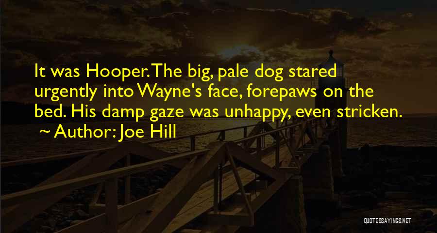 Joe Hill Quotes: It Was Hooper. The Big, Pale Dog Stared Urgently Into Wayne's Face, Forepaws On The Bed. His Damp Gaze Was