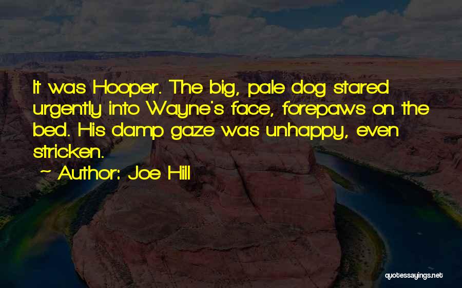 Joe Hill Quotes: It Was Hooper. The Big, Pale Dog Stared Urgently Into Wayne's Face, Forepaws On The Bed. His Damp Gaze Was