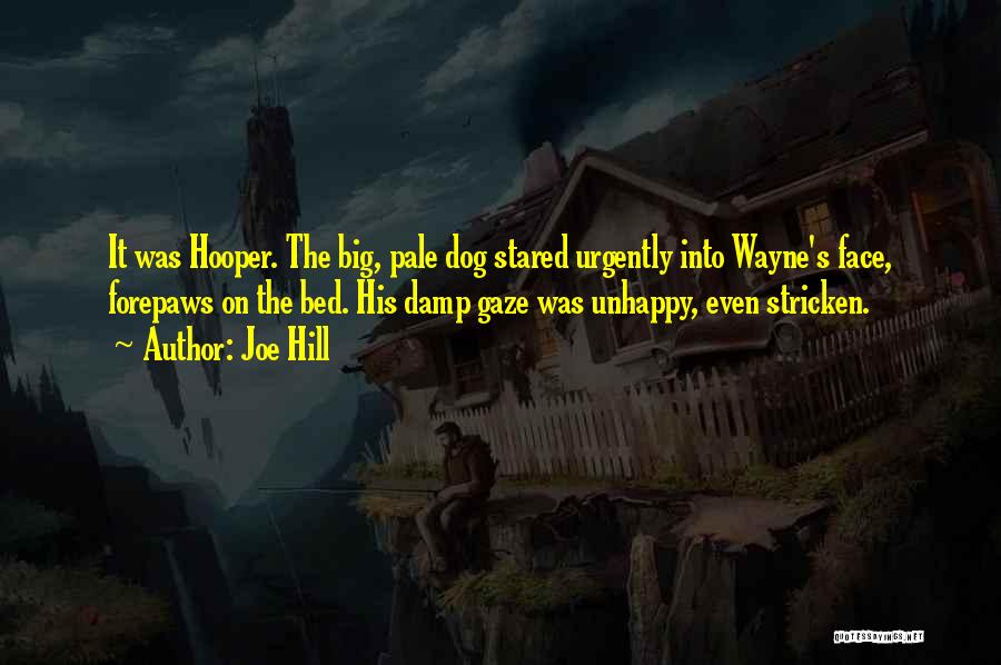 Joe Hill Quotes: It Was Hooper. The Big, Pale Dog Stared Urgently Into Wayne's Face, Forepaws On The Bed. His Damp Gaze Was