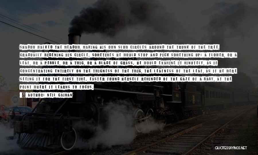 Neil Gaiman Quotes: Shadow Walked The Meadow, Making His Own Slow Circles Around The Trunk Of The Tree, Gradually Widening His Circle. Sometimes