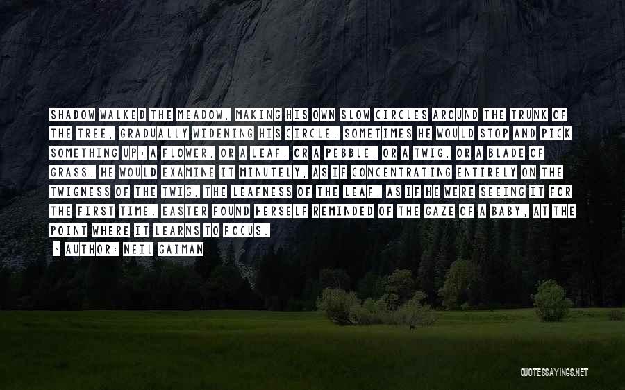 Neil Gaiman Quotes: Shadow Walked The Meadow, Making His Own Slow Circles Around The Trunk Of The Tree, Gradually Widening His Circle. Sometimes