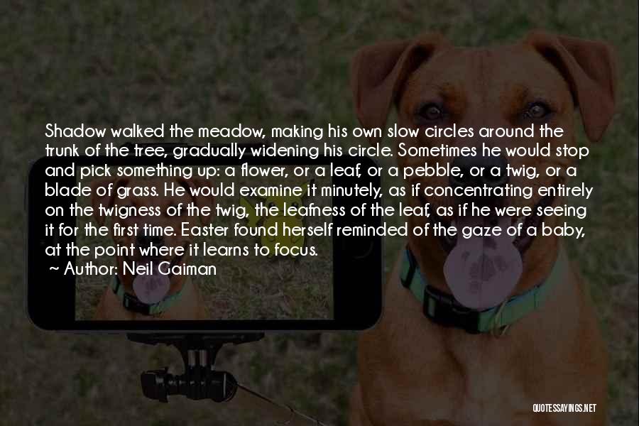 Neil Gaiman Quotes: Shadow Walked The Meadow, Making His Own Slow Circles Around The Trunk Of The Tree, Gradually Widening His Circle. Sometimes