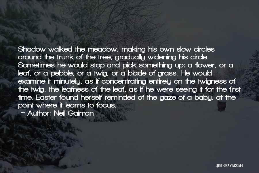 Neil Gaiman Quotes: Shadow Walked The Meadow, Making His Own Slow Circles Around The Trunk Of The Tree, Gradually Widening His Circle. Sometimes