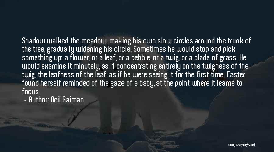 Neil Gaiman Quotes: Shadow Walked The Meadow, Making His Own Slow Circles Around The Trunk Of The Tree, Gradually Widening His Circle. Sometimes