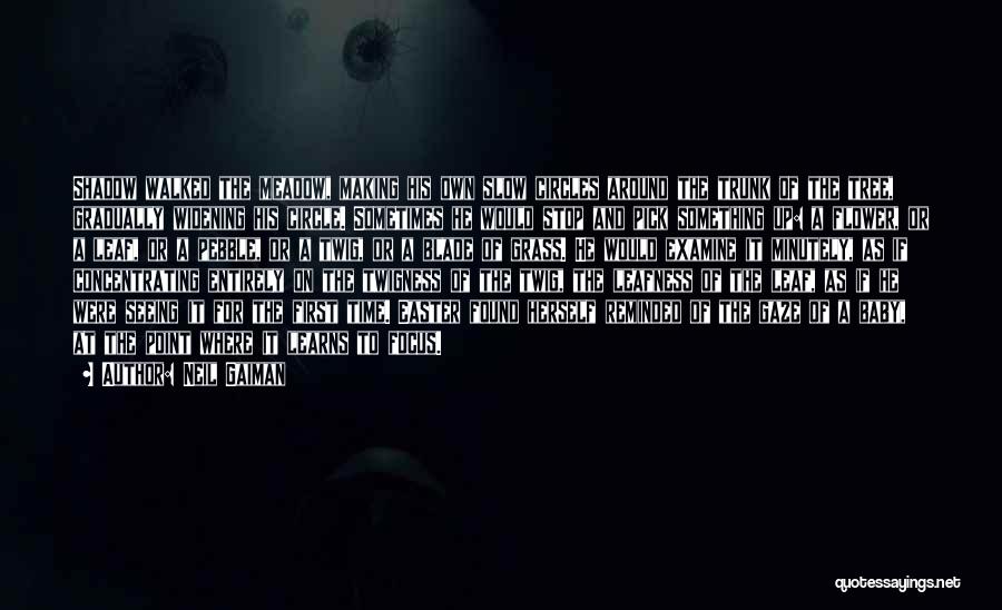 Neil Gaiman Quotes: Shadow Walked The Meadow, Making His Own Slow Circles Around The Trunk Of The Tree, Gradually Widening His Circle. Sometimes