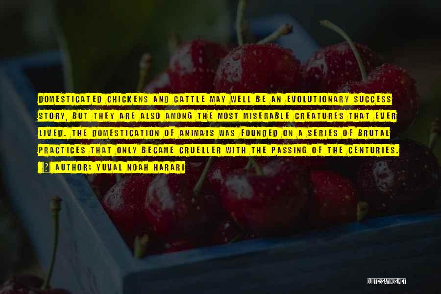 Yuval Noah Harari Quotes: Domesticated Chickens And Cattle May Well Be An Evolutionary Success Story, But They Are Also Among The Most Miserable Creatures