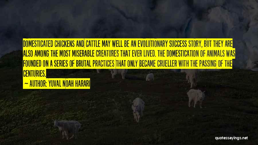 Yuval Noah Harari Quotes: Domesticated Chickens And Cattle May Well Be An Evolutionary Success Story, But They Are Also Among The Most Miserable Creatures