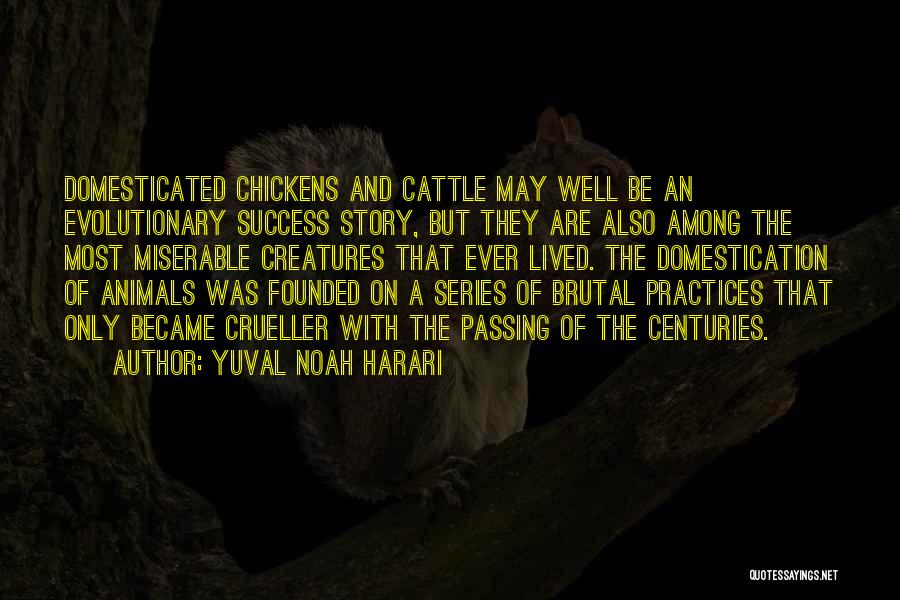 Yuval Noah Harari Quotes: Domesticated Chickens And Cattle May Well Be An Evolutionary Success Story, But They Are Also Among The Most Miserable Creatures